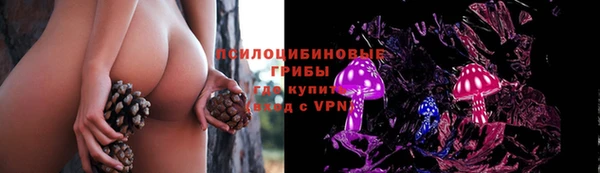 герыч Покровск