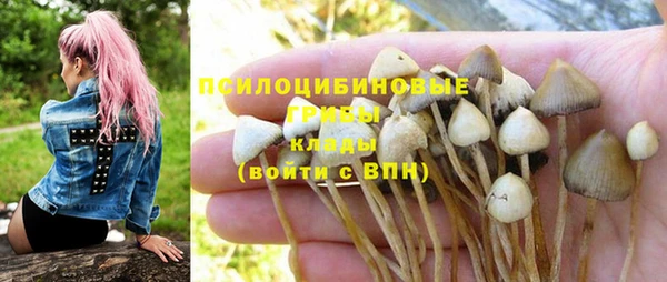 Альфа ПВП Покров