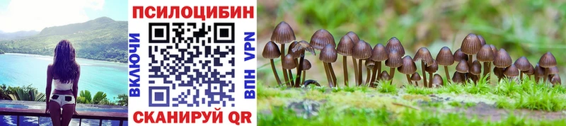 купить наркотики сайты  Валуйки  Галлюциногенные грибы Psilocybe 